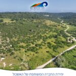 תהליך משמעותי לחיים משותפים