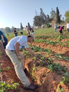נוער צופי בנימינה יוצא לקטוף