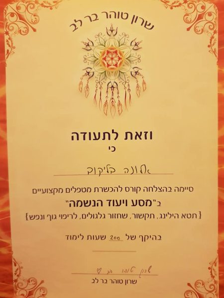 קורס מטפלים של שרון