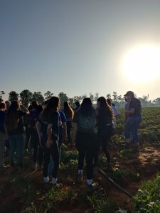 קטיף בגבעת עדה בשעות הבוקר המוקדמות